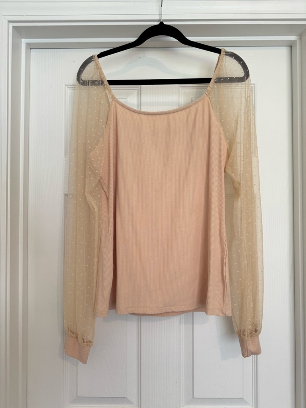 Sheer Sleeve Blush Pink Long Sleeve Top